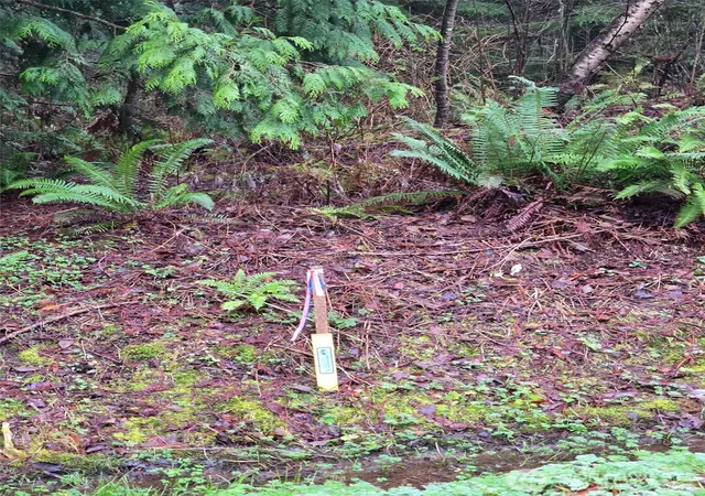 Photo 3 of Sale Pending at 0 Fisherman's Bnd Ln, Blaine, WA 98230 | MLS# NWM2469912 | Listing updated on 2026-09-22