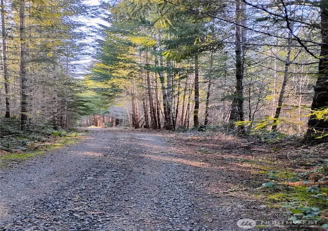 Photo 3 of Land for sale at 0 Skate Crk Rd S, Packwood, WA 98361 | MLS# NWM2469929 | Listing updated on 2026-10-01