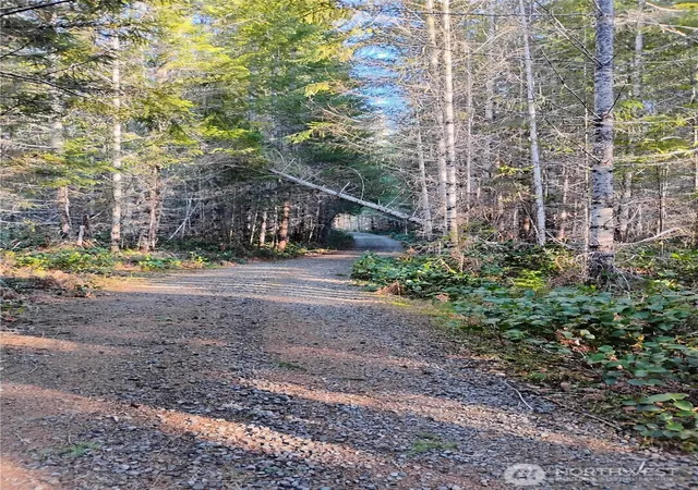 Photo 3 of Land for sale at 0 Skate Crk Rd S, Packwood, WA 98361 | MLS# NWM2469929 | Listing updated on 2026-10-01