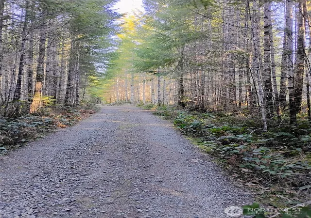 Photo 4 of Land for sale at 0 Skate Crk Rd S, Packwood, WA 98361 | MLS# NWM2469929 | Listing updated on 2026-10-01