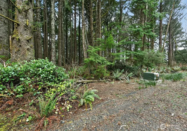 Photo 3 of Land for sale at 2772 State Route 109, Ocean Shores, WA 98569 | MLS# NWM2470026 | Listing updated on 2026-09-17