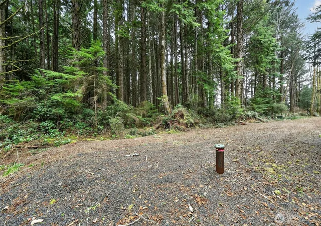 Photo 4 of Land for sale at 2772 State Route 109, Ocean Shores, WA 98569 | MLS# NWM2470026 | Listing updated on 2026-09-17