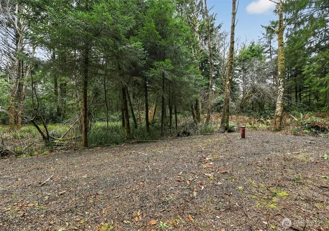 Photo 3 of Land for sale at 2776 State Route 109, Ocean Shores, WA 98569 | MLS# NWM2470029 | Listing updated on 2026-09-17