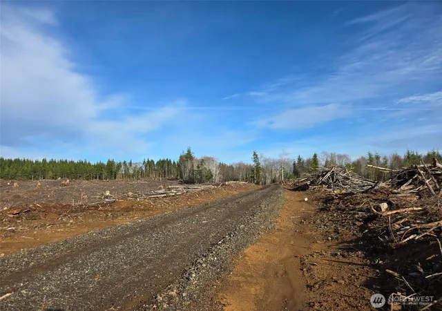Photo 2 of Land for sale at 0 End Of Herbig Ave, Aberdeen, WA 98520 | MLS# NWM2470869 | Listing updated on 2026-09-17