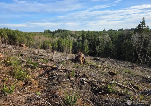 Photo 3 of Land for sale at 0 End Of Herbig Ave, Aberdeen, WA 98520 | MLS# NWM2470869 | Listing updated on 2026-09-17