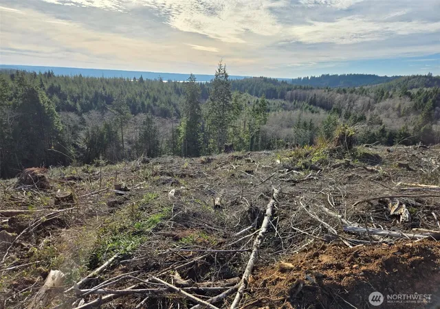Photo 3 of Land for sale at 0 End Of Herbig Ave, Aberdeen, WA 98520 | MLS# NWM2470869 | Listing updated on 2026-09-17