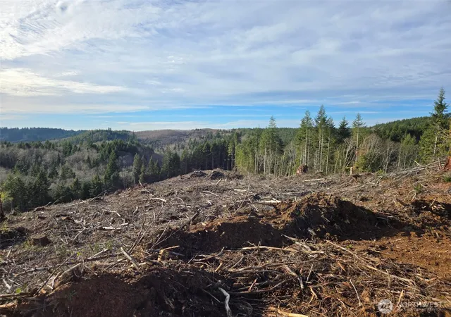 Photo 4 of Land for sale at 0 End Of Herbig Ave, Aberdeen, WA 98520 | MLS# NWM2470869 | Listing updated on 2026-09-17