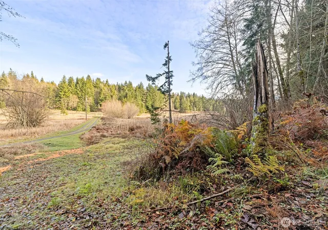 Photo 3 of Land for sale at 0 Nka Lost Mountain Rd, Sequim, WA 98382 | MLS# NWM2470940 | Listing updated on 2026-09-17