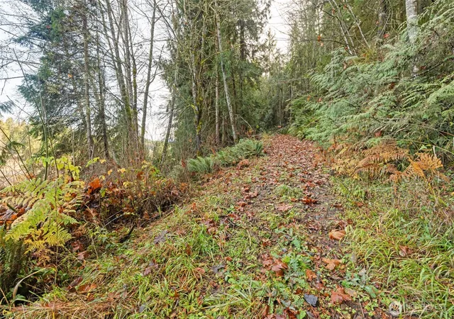 Photo 3 of Land for sale at 0 Nka Lost Mountain Rd, Sequim, WA 98382 | MLS# NWM2470940 | Listing updated on 2026-09-17