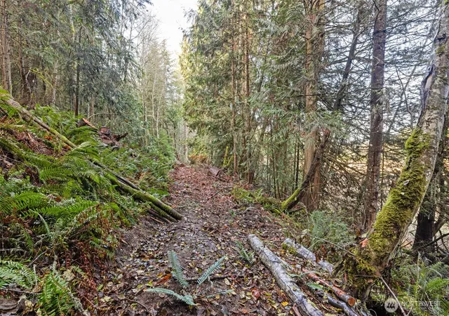 Photo 4 of Land for sale at 0 Nka Lost Mountain Rd, Sequim, WA 98382 | MLS# NWM2470940 | Listing updated on 2026-09-17