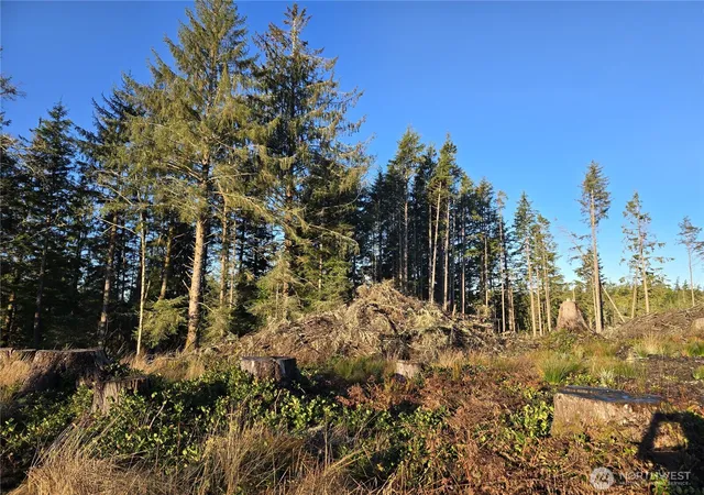 Land for sale at 2753 State Route 101, Ilwaco, WA 98624 | MLS# NWM2471103