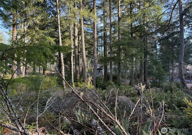 Photo 2 of Land for sale at 40 E Paint Brush Ln, Union, WA 98592 | MLS# NWM2471129 | Listing updated on 2026-09-17
