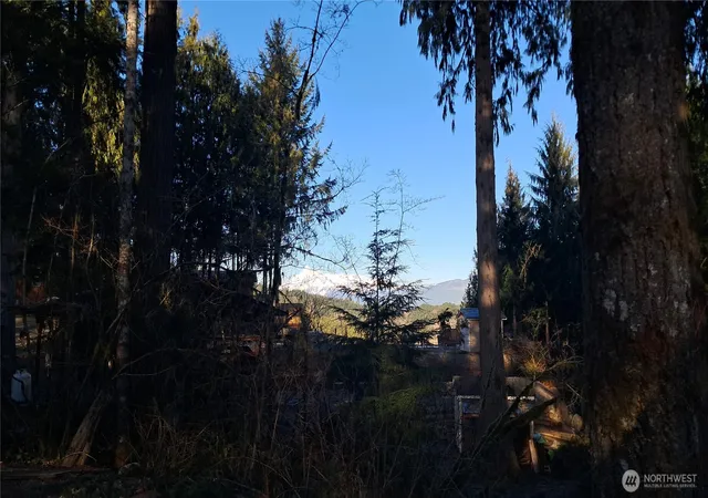 Photo 4 of Land for sale at 44951 Blacktail Loop, Concrete, WA 98237 | MLS# NWM2471320 | Listing updated on 2026-09-17