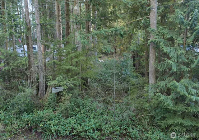 Photo 4 of Land for sale at 40 Robin Ln, Pacific Beach, WA 98571 | MLS# NWM2471464 | Listing updated on 2026-09-17