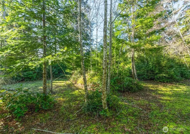 Photo 3 of Land for sale at 21333 Birch Pl, Ocean Park, WA 98640 | MLS# NWM2471810 | Listing updated on 2026-09-17