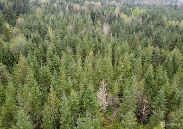 Photo 2 of Land for sale at 0 164th Street E, Buckley, WA 98321 | MLS# NWM2471952 | Listing updated on 2026-09-17