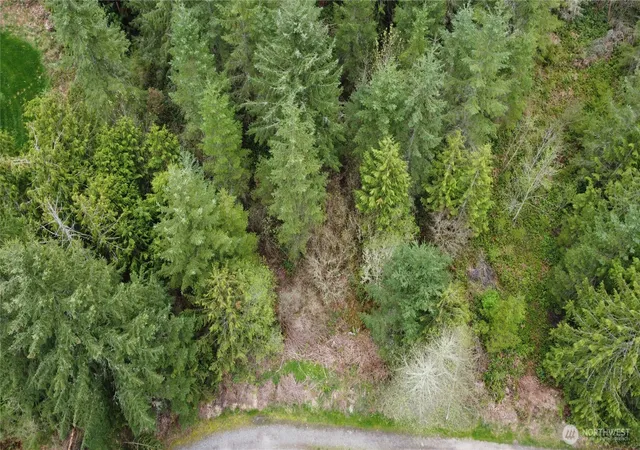 Photo 3 of Land for sale at 0 164th Street E, Buckley, WA 98321 | MLS# NWM2471952 | Listing updated on 2026-09-17