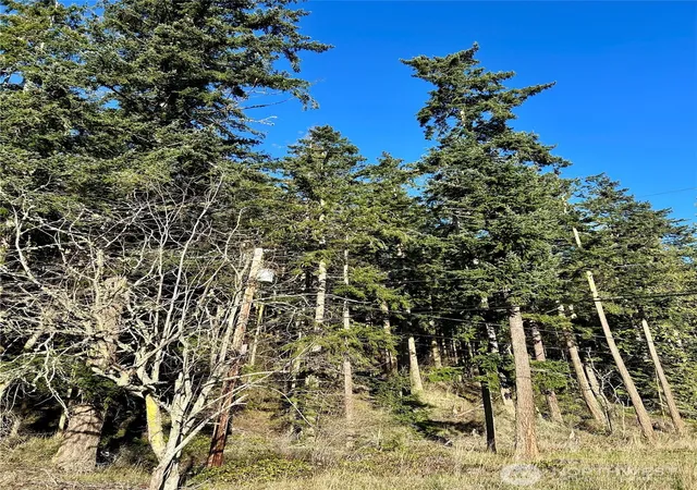 Photo 3 of Land for sale at 55 Vancouver Pl, Port Townsend, WA 98368 | MLS# NWM2472233 | Listing updated on 2026-09-17