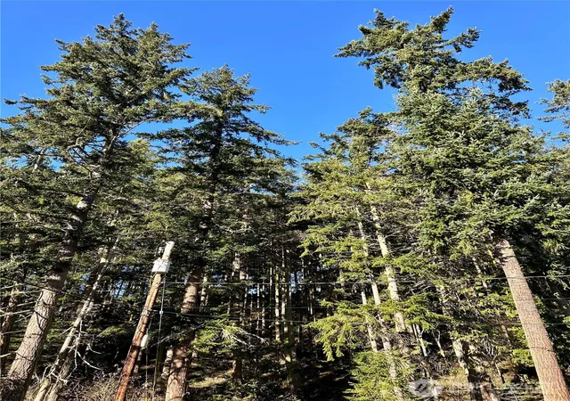Photo 3 of Land for sale at 55 Vancouver Pl, Port Townsend, WA 98368 | MLS# NWM2472233 | Listing updated on 2026-09-17
