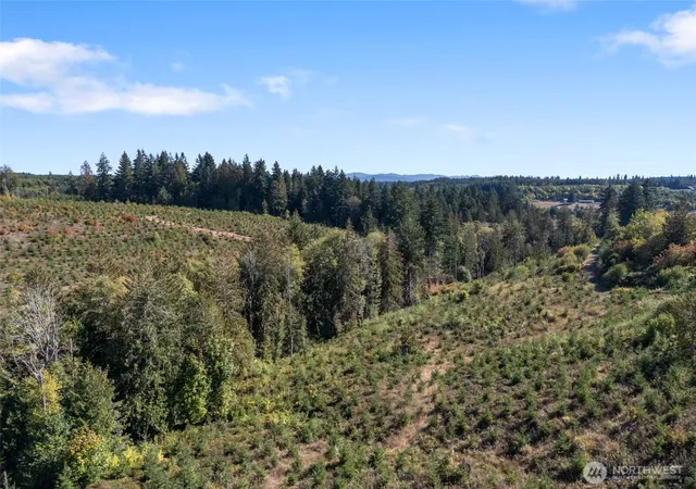 Photo 3 of Land for sale at 0 Lot 4 Macomber Rd W, Chehalis, WA 98532 | MLS# NWM2472267 | Listing updated on 2026-09-17