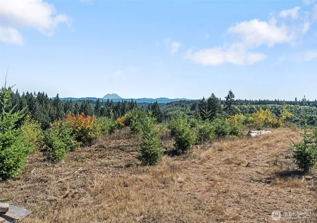 Photo 1 of Land for sale at 0 Lot 2 Macomber Rd W, Chehalis, WA 98532 | MLS# NWM2472301 | Listing updated on 2026-09-17