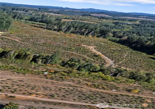Photo 4 of Land for sale at 0 Lot 2 Macomber Rd W, Chehalis, WA 98532 | MLS# NWM2472301 | Listing updated on 2026-09-17