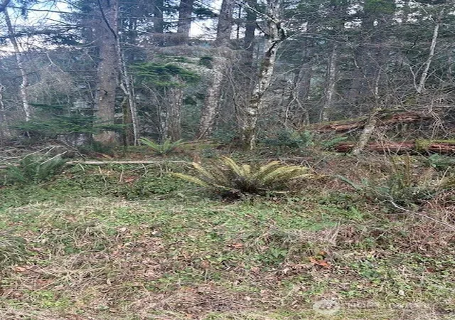 Photo 2 of Land for sale at 0 Se 166th Street, North Bend, WA 98045 | MLS# NWM2472362 | Listing updated on 2026-09-17