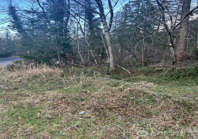 Photo 3 of Land for sale at 0 Se 166th Street, North Bend, WA 98045 | MLS# NWM2472362 | Listing updated on 2026-09-17