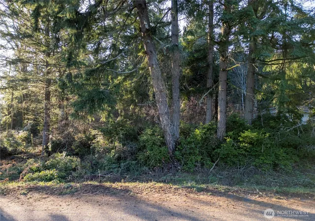 Photo 2 of Land for sale at 10916 Seaview Dr, Anderson Island, WA 98303 | MLS# NWM2472390 | Listing updated on 2026-09-17