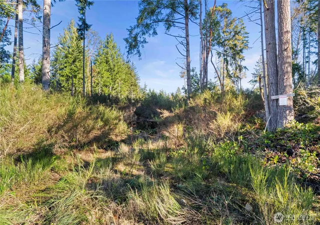 Photo 3 of Land for sale at 0 E Harstine Is Rd S, Shelton, WA 98584 | MLS# NWM2472521 | Listing updated on 2026-09-22
