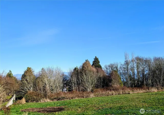 Photo 4 of Land for sale at 19 Whalen Dr, Point Roberts, WA 98281 | MLS# NWM2472530 | Listing updated on 2026-09-17