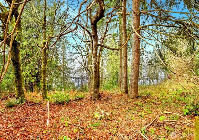 Photo 3 of Land for sale at 18813 & 18815 74th St SW, Longbranch, WA 98351 | MLS# NWM2472603 | Listing updated on 2026-09-17