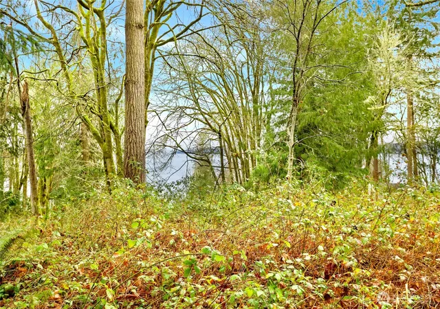 Photo 4 of Land for sale at 18813 & 18815 74th St SW, Longbranch, WA 98351 | MLS# NWM2472603 | Listing updated on 2026-09-17