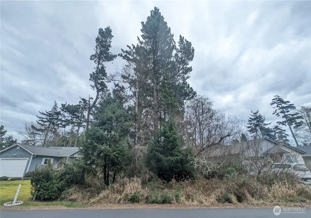 Photo 3 of Land for sale at 30904 M Pl, Ocean Park, WA 98640 | MLS# NWM2472665 | Listing updated on 2026-09-17