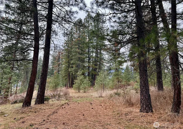 Photo 4 of Land for sale at 0 4398tbd Northport Flt Crk Rd, Northport, WA 99157 | MLS# NWM2474617 | Listing updated on 2026-09-17