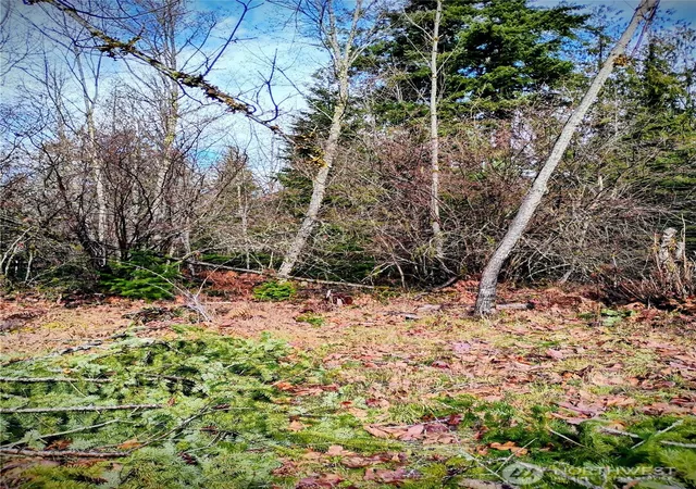 Photo 1 of Land for sale at 0 Holiday Ln #Lot 19, Packwood, WA 98361 | MLS# NWM2474769 | Listing updated on 2026-10-01