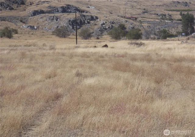 Photo 4 of Land for sale at 0 Sr 173, Bridgeport, WA 98813 | MLS# NWM2475558 | Listing updated on 2026-09-17