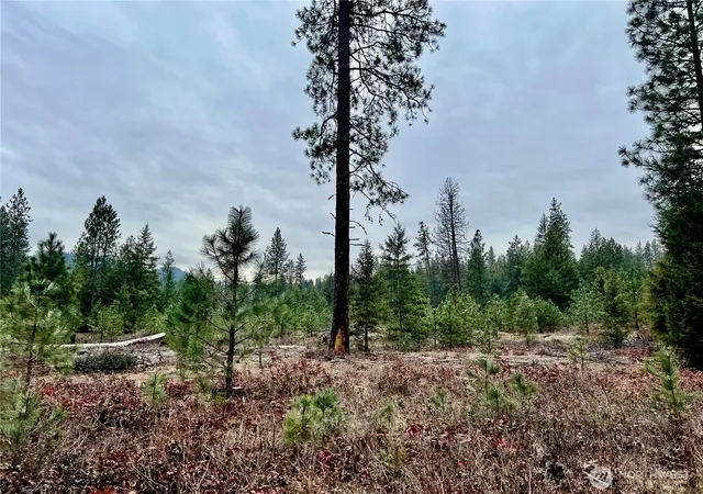 Photo 1 of Land for sale at 0 40tbd Hwy 25 N, Northport, WA 99157 | MLS# NWM2475667 | Listing updated on 2026-09-17