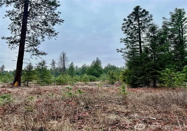Photo 2 of Land for sale at 0 40tbd Hwy 25 N, Northport, WA 99157 | MLS# NWM2475667 | Listing updated on 2026-09-17
