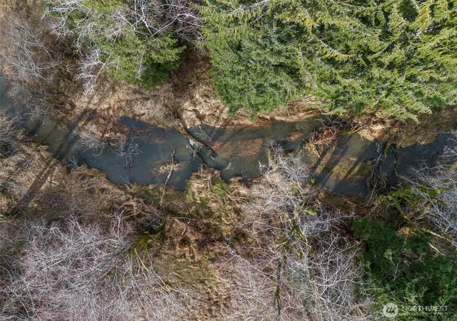 Photo 3 of Land for sale at 0 Xxx Rue Crk Rd, Raymond, WA 98577 | MLS# NWM2475752 | Listing updated on 2026-09-24
