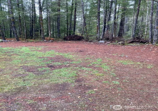 Photo 3 of Land for sale at 10 N Tyee Pl, Hoodsport, WA 98548 | MLS# NWM2475799 | Listing updated on 2026-09-17