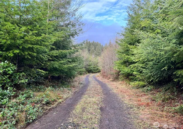 Photo 2 of Land for sale at 0 Highway 101, Cosmopolis, WA 98537 | MLS# NWM2475832 | Listing updated on 2026-09-17