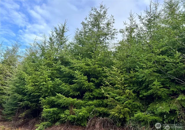 Photo 3 of Land for sale at 0 Highway 101, Cosmopolis, WA 98537 | MLS# NWM2475832 | Listing updated on 2026-09-17