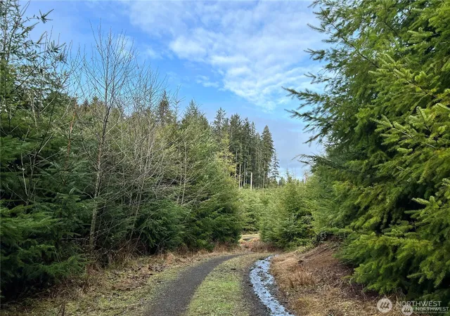 Photo 3 of Land for sale at 0 Highway 101, Cosmopolis, WA 98537 | MLS# NWM2475832 | Listing updated on 2026-09-17