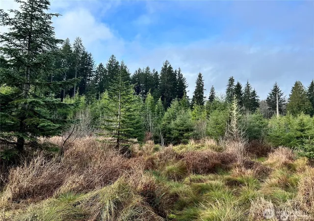 Photo 4 of Land for sale at 0 Highway 101, Cosmopolis, WA 98537 | MLS# NWM2475832 | Listing updated on 2026-09-17