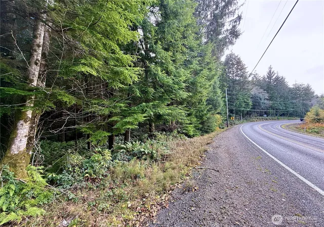Photo 2 of Land for sale at 0 Copalis Beach Rd, Copalis Beach, WA 98535 | MLS# NWM2475899 | Listing updated on 2026-09-17