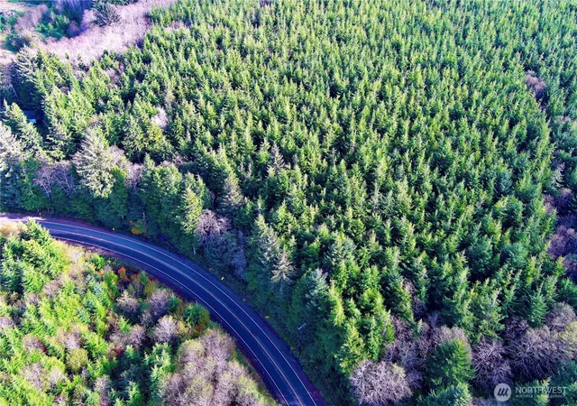 Photo 3 of Land for sale at 0 Copalis Beach Rd, Copalis Beach, WA 98535 | MLS# NWM2475899 | Listing updated on 2026-09-17
