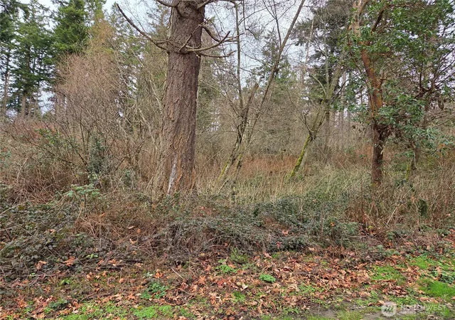 Photo 3 of Land for sale at 103 B Whidbey Is Dr, Everett, WA 98201 | MLS# NWM2476225 | Listing updated on 2026-09-17