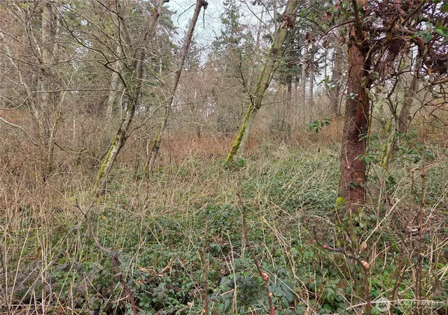 Photo 3 of Land for sale at 103 B Whidbey Is Dr, Everett, WA 98201 | MLS# NWM2476225 | Listing updated on 2026-09-17