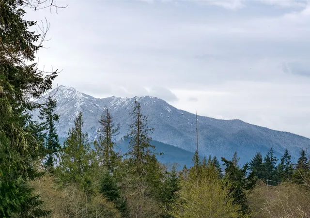 Photo 2 of Land for sale at 9999 Cedar Glen Ln, Port Angeles, WA 98362 | MLS# NWM2476238 | Listing updated on 2026-09-30